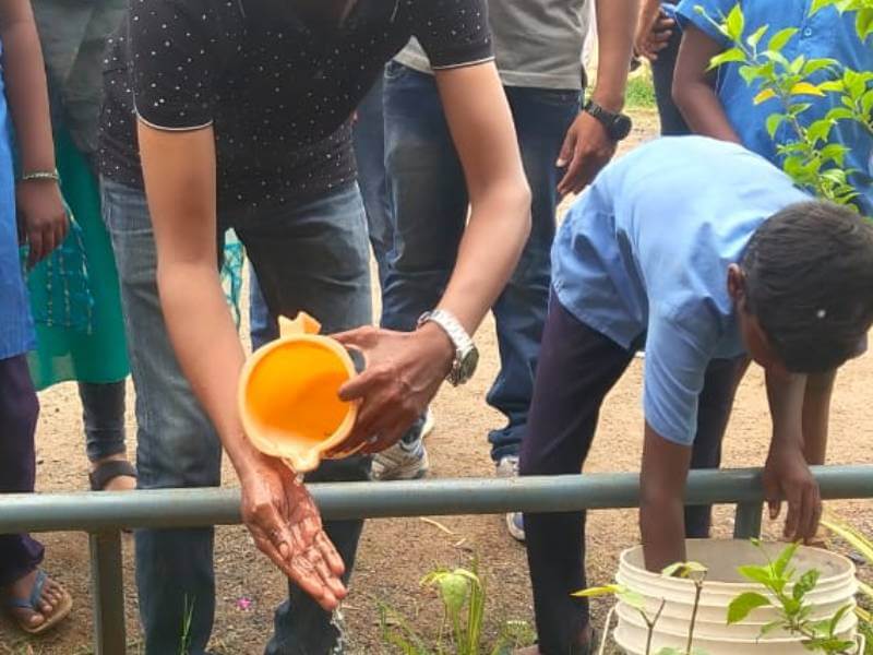 Tree Plantation Drive
